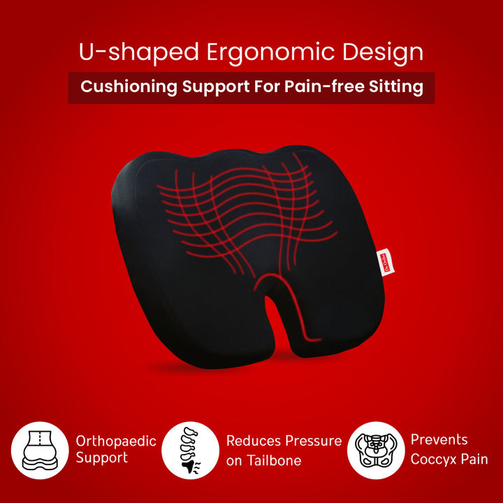 Dr.  Ortho Back Support and Coccyx Cushion Combo