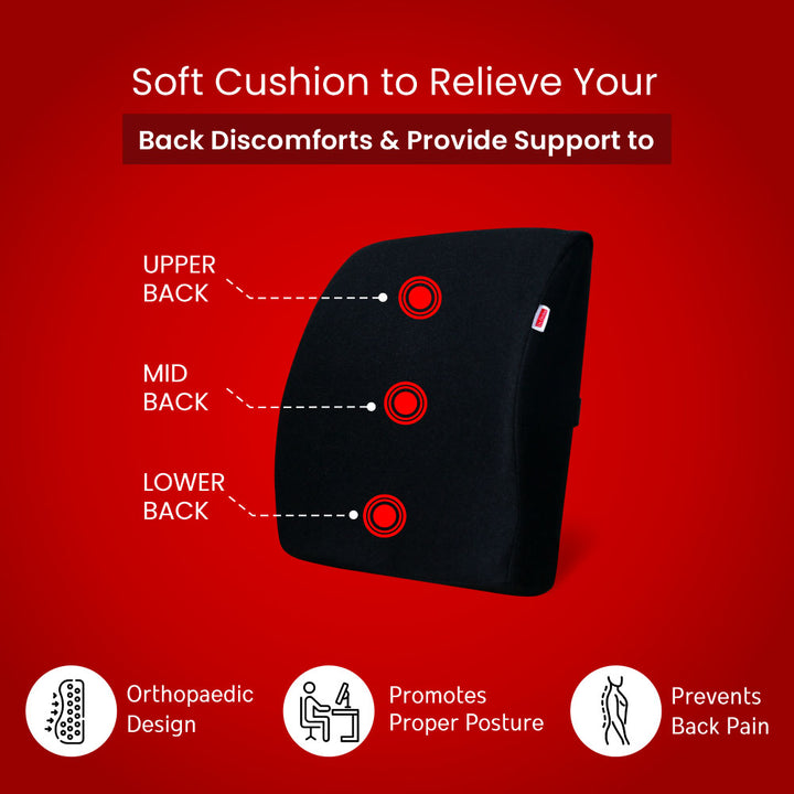 Dr.  Ortho Back Support and Coccyx Cushion Combo