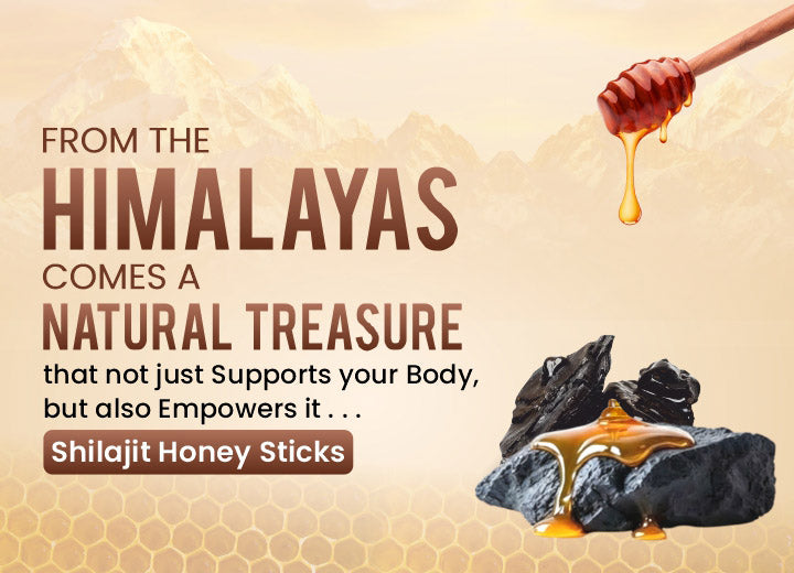 Himalayan Shilajit Honey Sticks