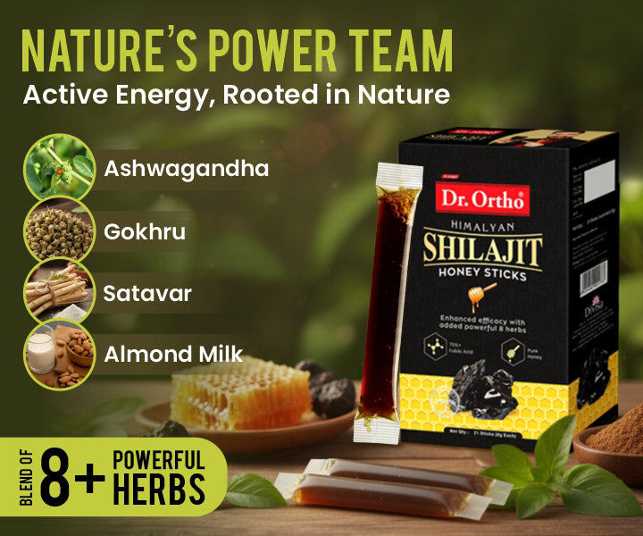 Himalayan Shilajit Honey Sticks
